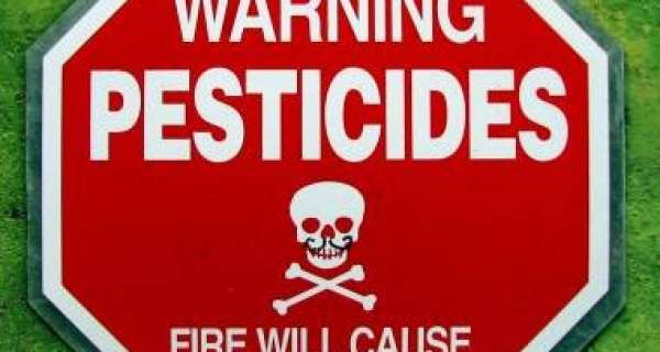 Why pesticides can be dangerous?