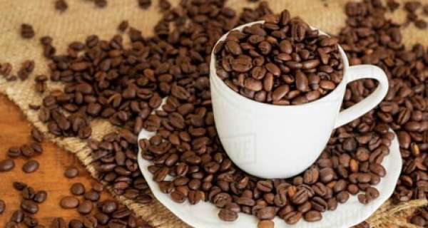 When was coffee first brewed?